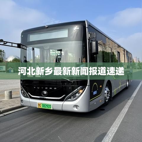 河北新乡最新新闻报道速递