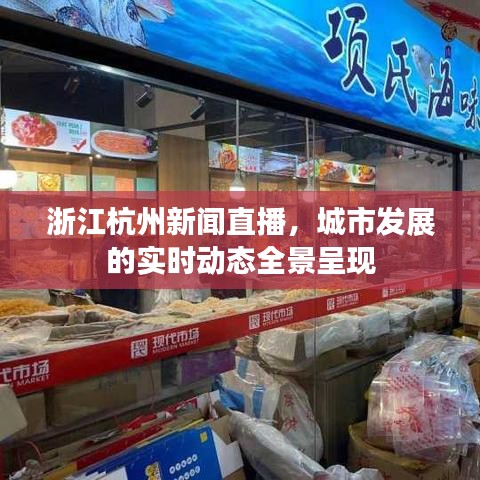 浙江杭州新闻直播，城市发展的实时动态全景呈现