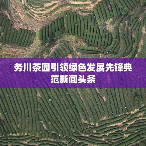 务川茶园引领绿色发展先锋典范新闻头条