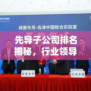 先导子公司排名揭秘，行业领导者地位与影响力不容小觑