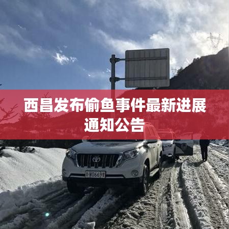 西昌发布偷鱼事件最新进展通知公告