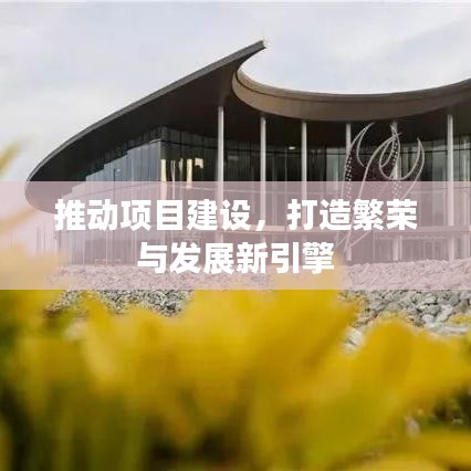 推动项目建设，打造繁荣与发展新引擎