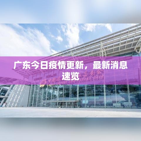广东今日疫情更新，最新消息速览