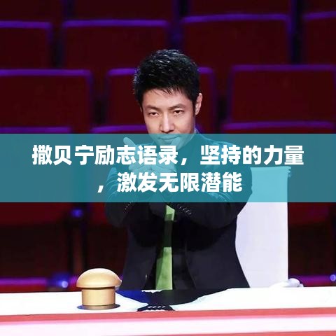 撒贝宁励志语录，坚持的力量，激发无限潜能