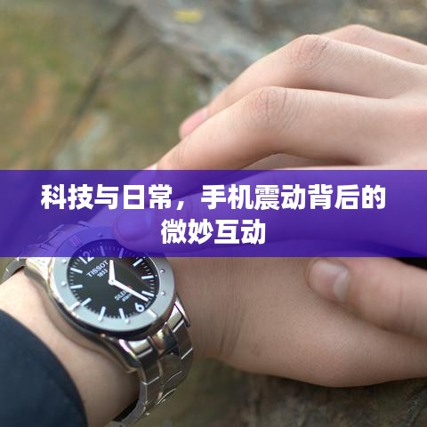 科技与日常，手机震动背后的微妙互动