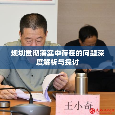 规划贯彻落实中存在的问题深度解析与探讨