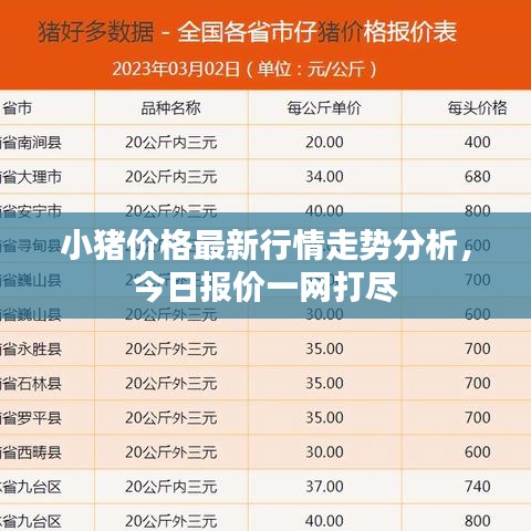 小猪价格最新行情走势分析，今日报价一网打尽