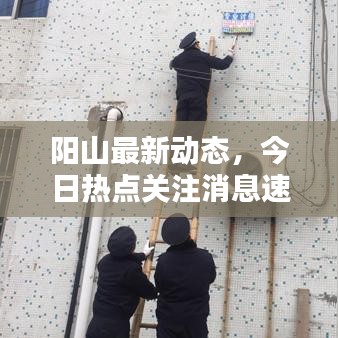 阳山最新动态，今日热点关注消息速递