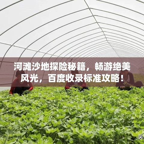 河滩沙地探险秘籍，畅游绝美风光，百度收录标准攻略！