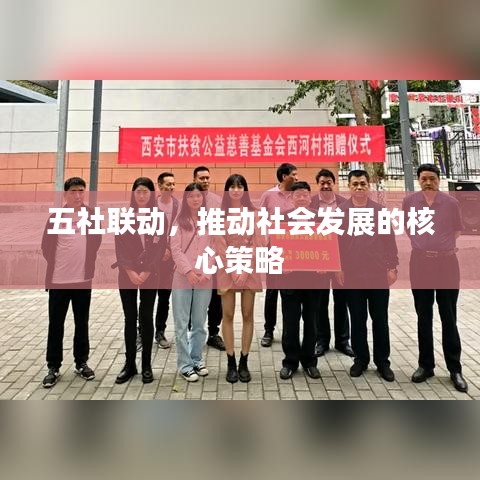 五社联动，推动社会发展的核心策略