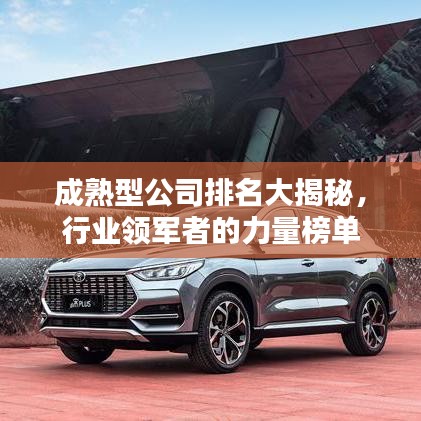 成熟型公司排名大揭秘，行业领军者的力量榜单