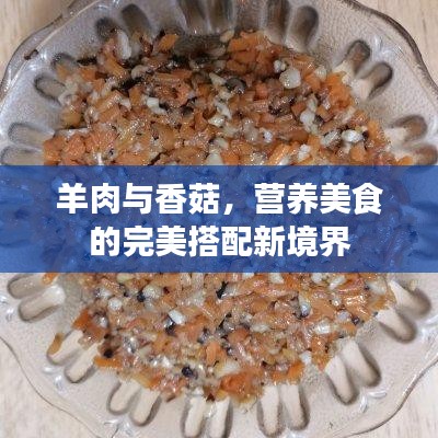 羊肉与香菇，营养美食的完美搭配新境界