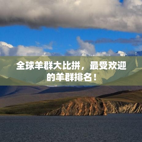 全球羊群大比拼，最受欢迎的羊群排名！