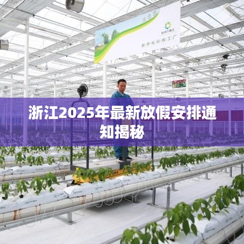 浙江2025年最新放假安排通知揭秘