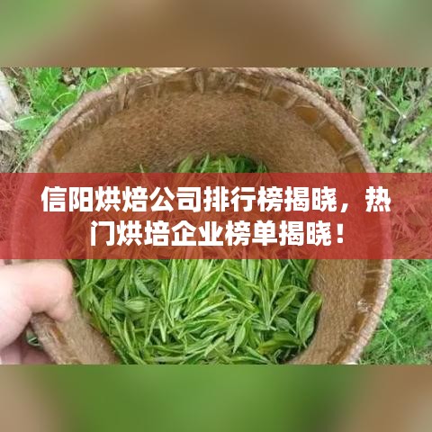 信阳烘焙公司排行榜揭晓，热门烘培企业榜单揭晓！
