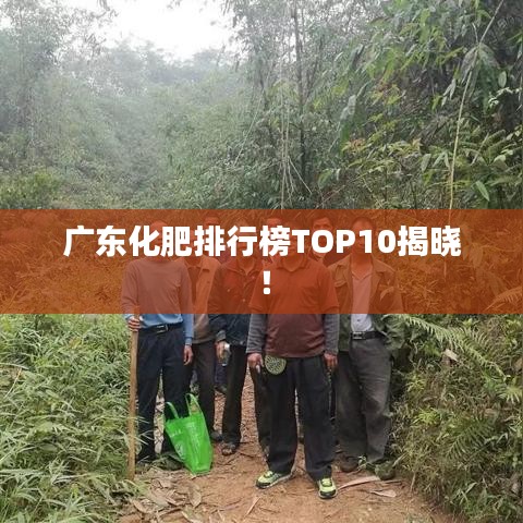 广东化肥排行榜TOP10揭晓！