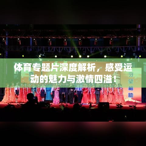 体育专题片深度解析，感受运动的魅力与激情四溢！