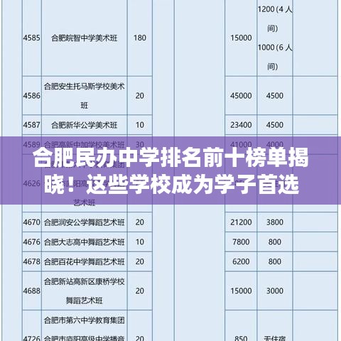 合肥民办中学排名前十榜单揭晓！这些学校成为学子首选
