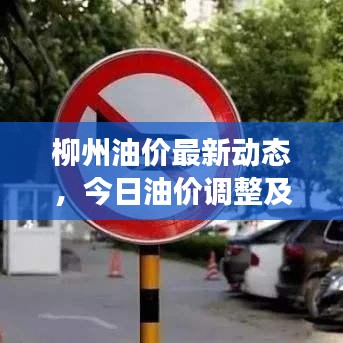 柳州油价最新动态，今日油价调整及市场影响分析