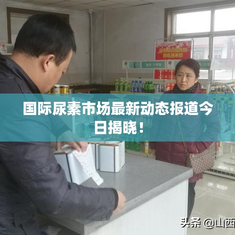 国际尿素市场最新动态报道今日揭晓！