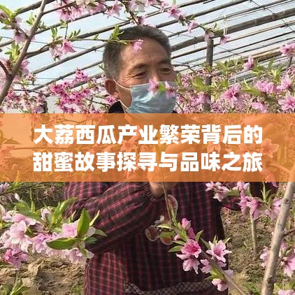 大荔西瓜产业繁荣背后的甜蜜故事探寻与品味之旅