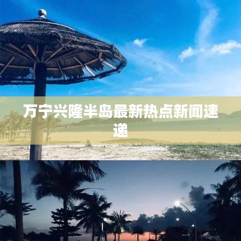 万宁兴隆半岛最新热点新闻速递