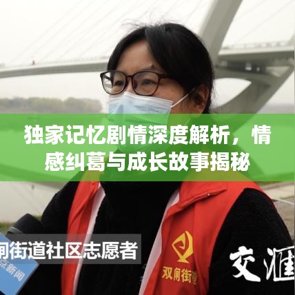 独家记忆剧情深度解析，情感纠葛与成长故事揭秘