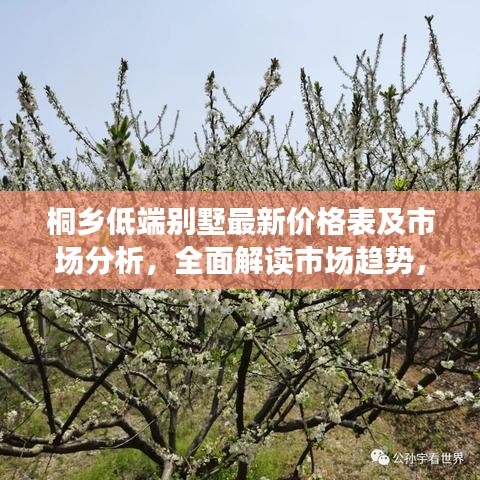 桐乡低端别墅最新价格表及市场分析，全面解读市场趋势，吸引你的目光！