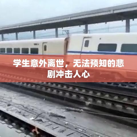 学生意外离世，无法预知的悲剧冲击人心