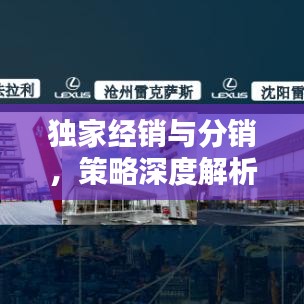 独家经销与分销，策略深度解析、优势挑战一览