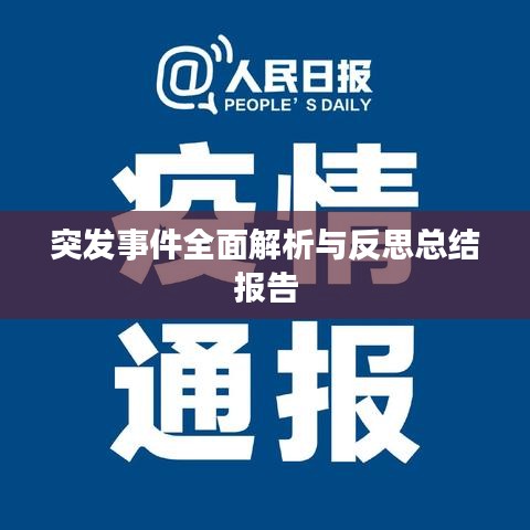 突发事件全面解析与反思总结报告