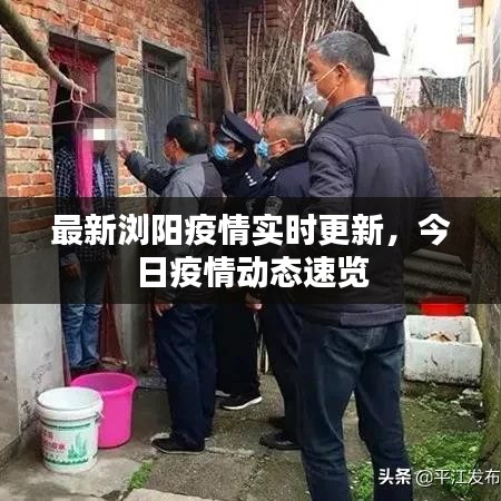 最新浏阳疫情实时更新，今日疫情动态速览