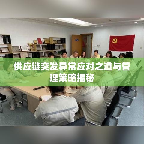 供应链突发异常应对之道与管理策略揭秘