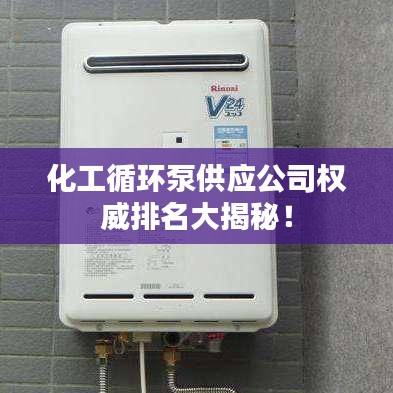 化工循环泵供应公司权威排名大揭秘！