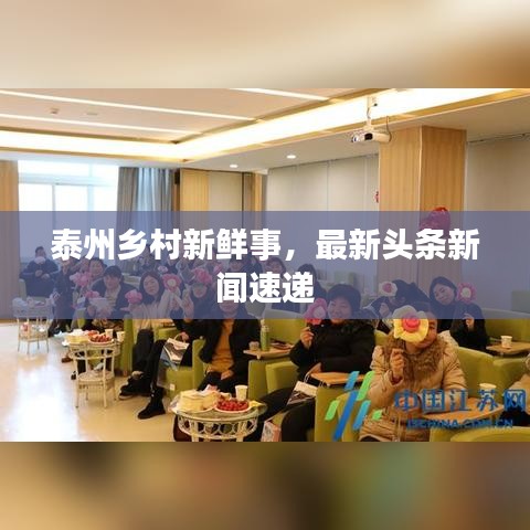 泰州乡村新鲜事，最新头条新闻速递