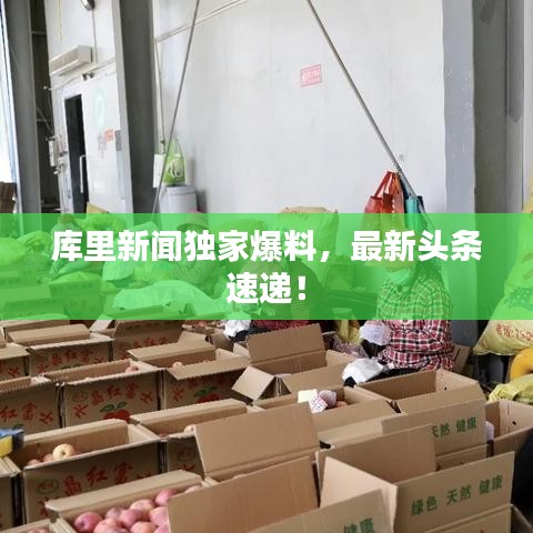 库里新闻独家爆料，最新头条速递！