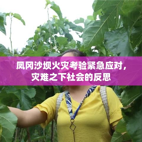 凤冈沙坝火灾考验紧急应对，灾难之下社会的反思