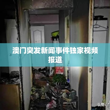 澳门突发新闻事件独家视频报道