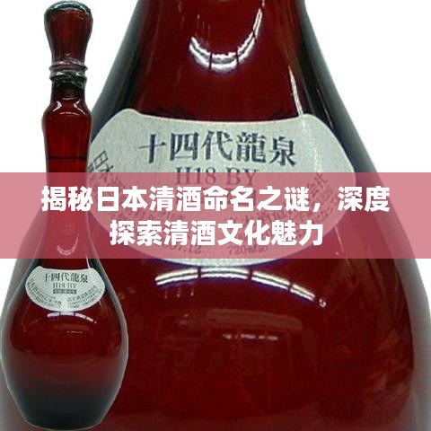 揭秘日本清酒命名之谜，深度探索清酒文化魅力
