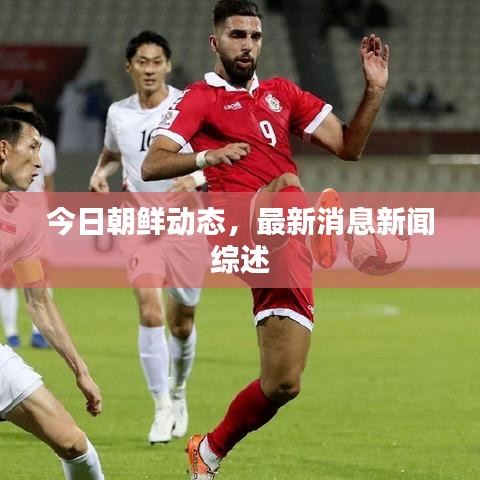 今日朝鲜动态，最新消息新闻综述