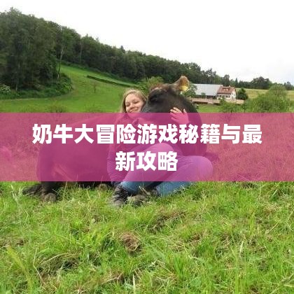 奶牛大冒险游戏秘籍与最新攻略