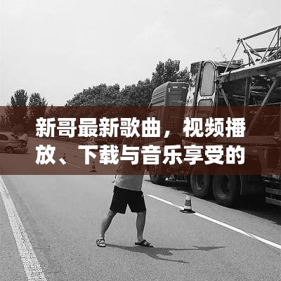 新哥最新歌曲，视频播放、下载与音乐享受的艺术之旅