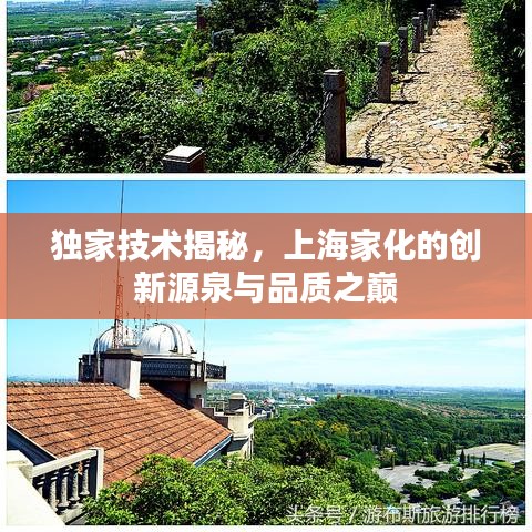 独家技术揭秘，上海家化的创新源泉与品质之巅