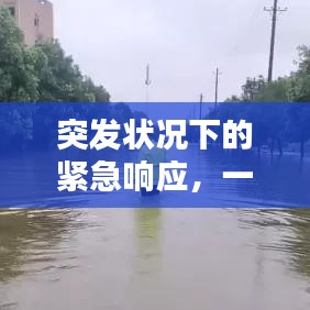 突发状况下的紧急响应，一级响应机制的实施及其重要性解析