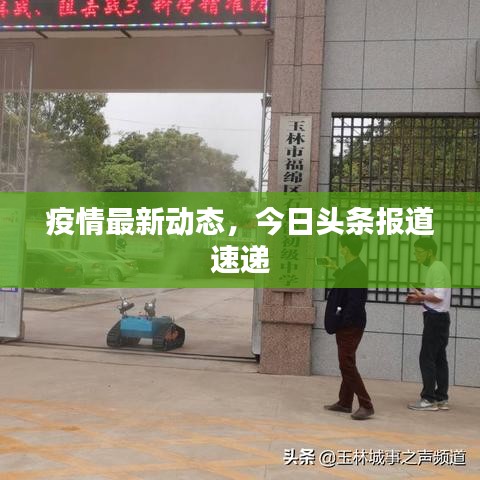 疫情最新动态，今日头条报道速递