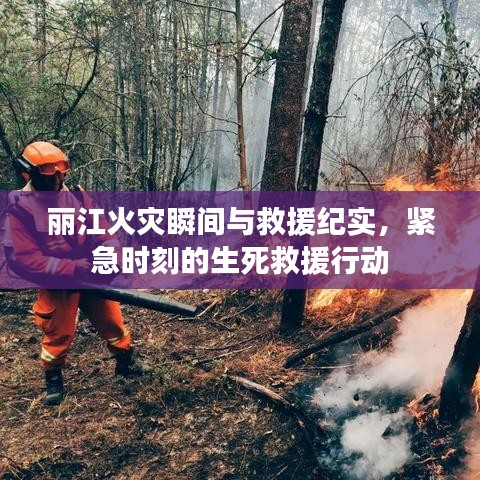 丽江火灾瞬间与救援纪实，紧急时刻的生死救援行动