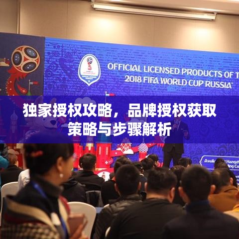 独家授权攻略，品牌授权获取策略与步骤解析