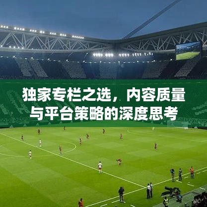 独家专栏之选，内容质量与平台策略的深度思考