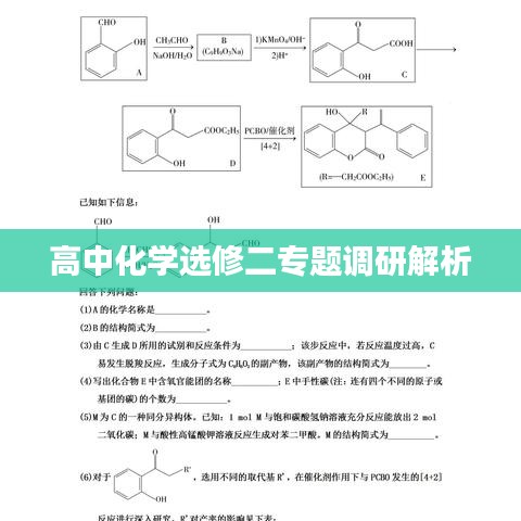 高中化学选修二专题调研解析