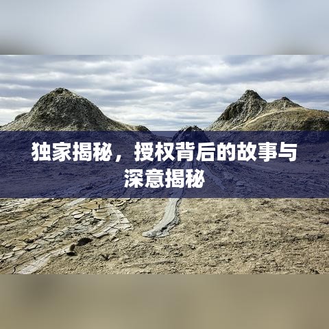 独家揭秘，授权背后的故事与深意揭秘